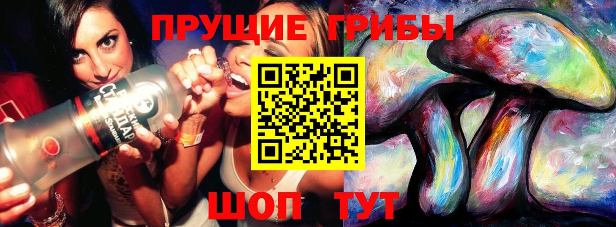 Галлюциногенные грибы прущие грибы  Вход с VPN  Вичуга 